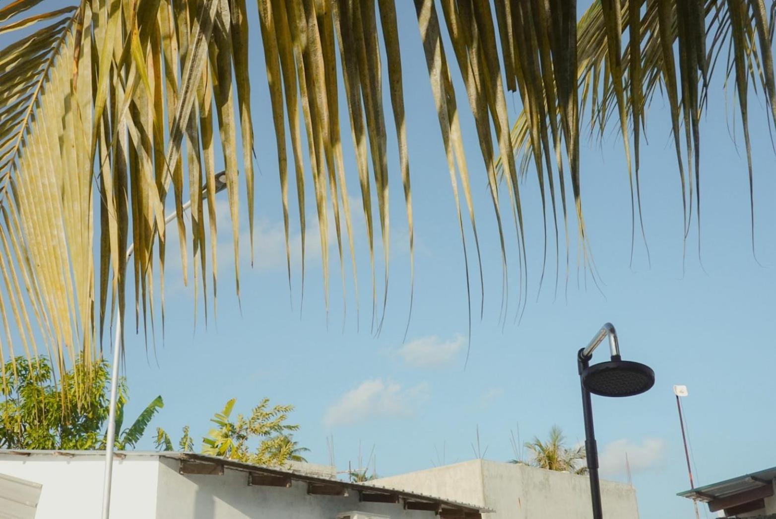 Avi * Himmafushi