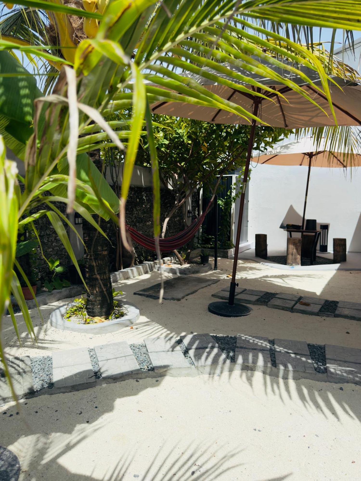 Avi * Himmafushi